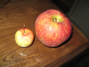 دو سیب(1)
